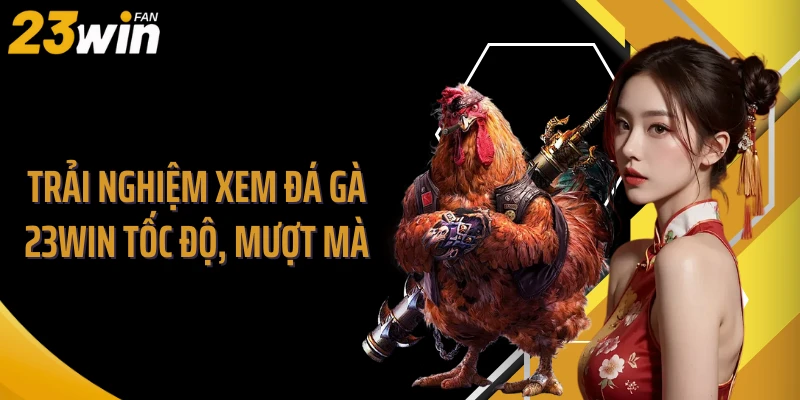 Trải nghiệm xem đá gà 23WIN tốc độ, mượt mà